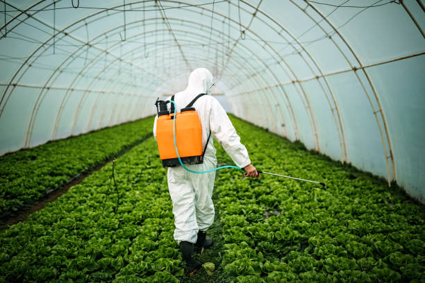 Professional Pest Control in Dacula, GA