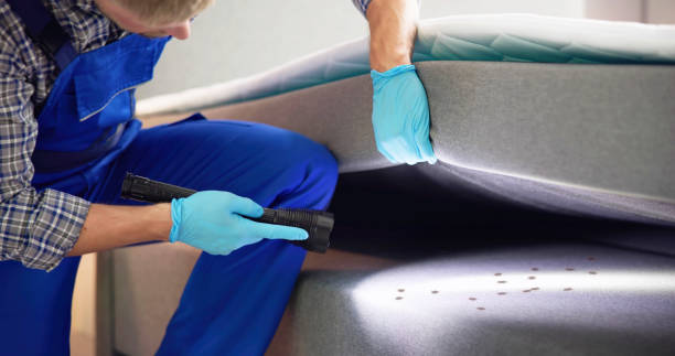 Best Residential Pest Control  in Dacula, GA