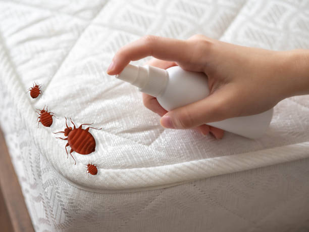 Best Pest Prevention Services  in Dacula, GA