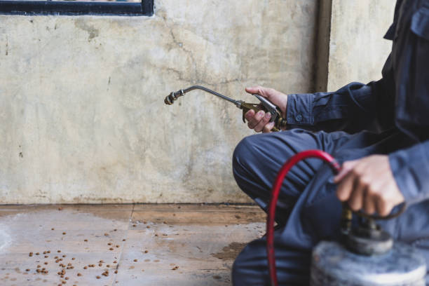 Best Best Pest Control Companies  in Dacula, GA
